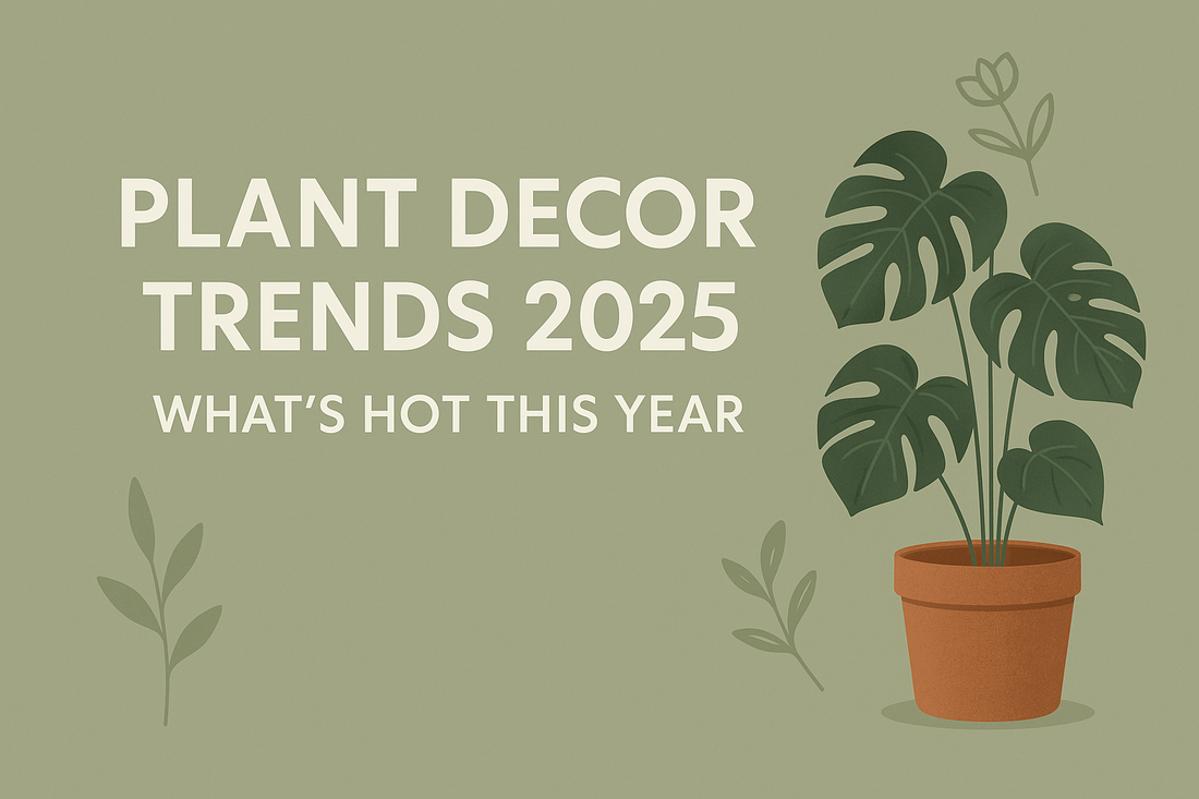 Plant Decor Trends 2025: What’s Hot This Year