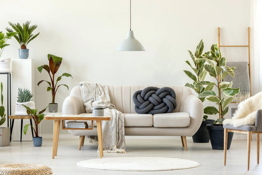 How To Properly Water Your Indoor Plants