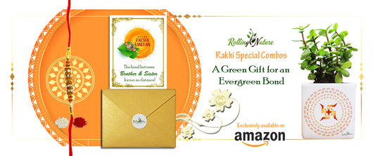 Rakhi Gifting Combos: Top Picks