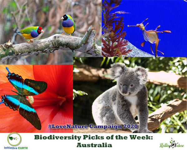 Biodiversity Picks of the Week: Australia