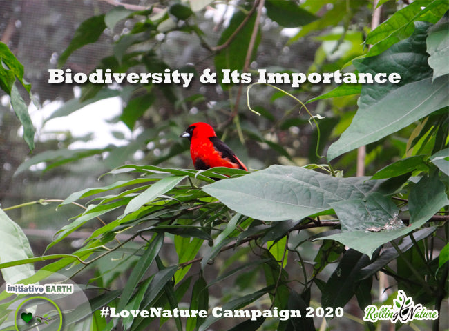 Biodiversity & Its Importance