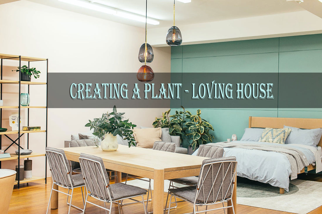 Creating a Plant-Loving House