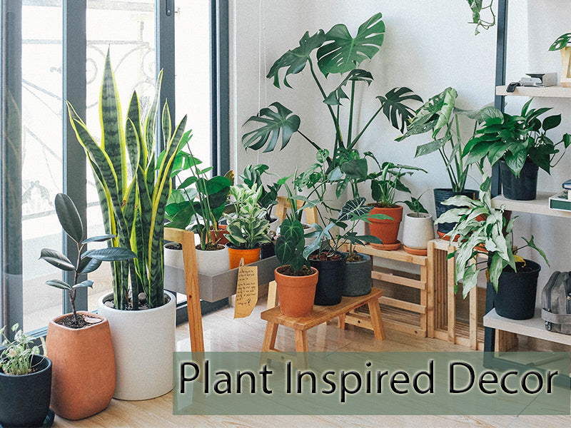 Plants Inspired Decor: How to Decorate Your Deck With Plants