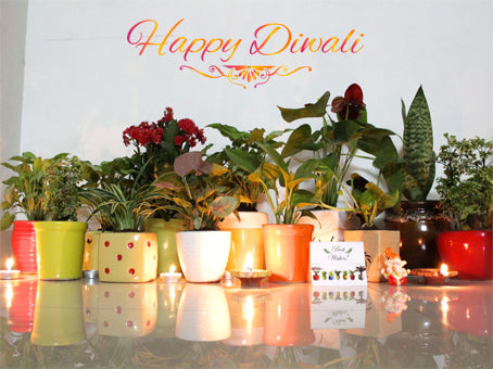 Spread Joy with Green Gifting This Diwali
