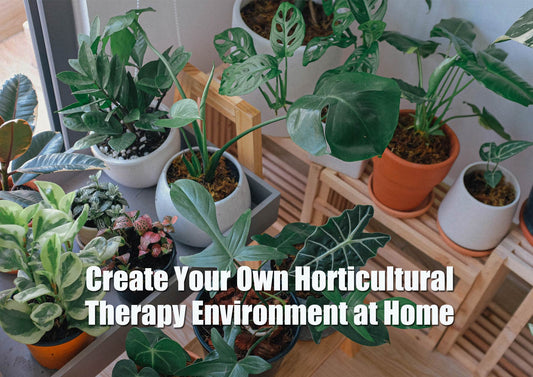 Create Your Own Horticultural Therapy Environment at Home