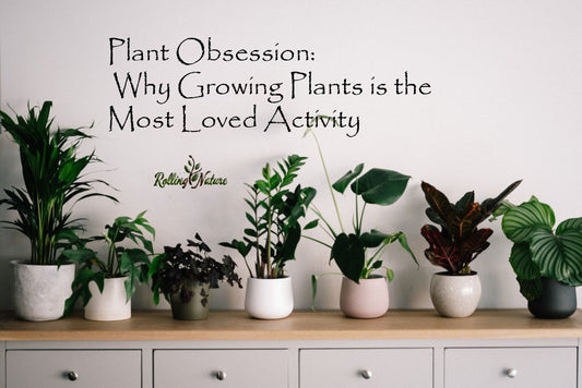 Plant Obsession: Why Growing Plants is the Most Loved Activity
