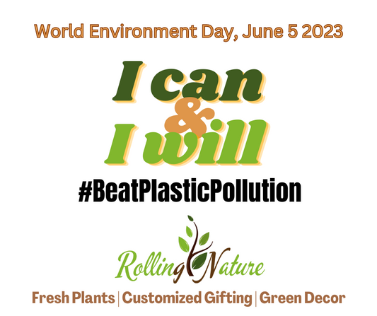 Plastic Pollution: The Facts & The Solutions