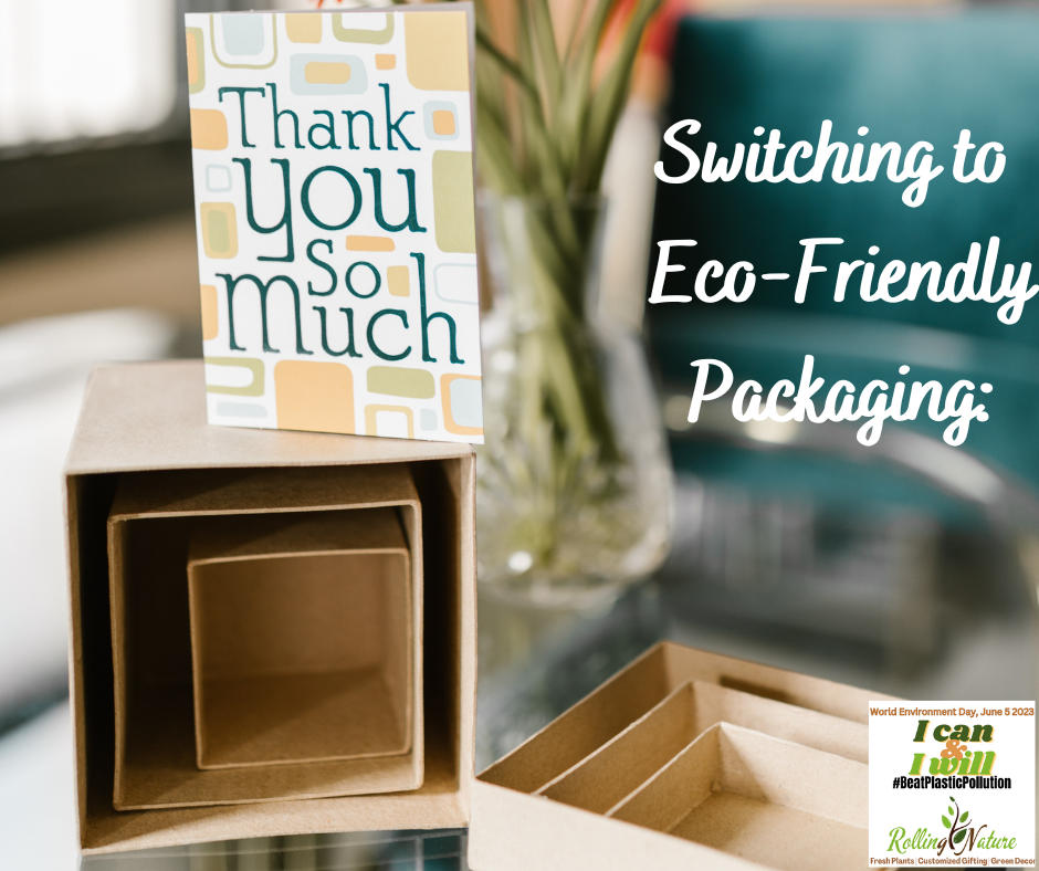 Switching to Eco-Friendly Packaging: How to Choose the Best