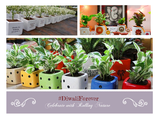 Celebrate #DiwaliForever Let's Make it Green Together