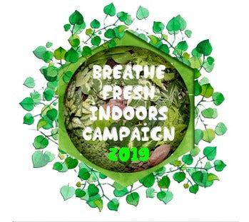Breathe Fresh Indoor Campaign 2019