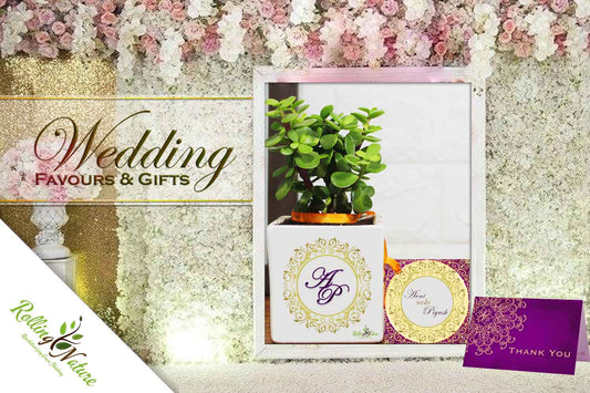 Plant Wedding Gifts & Favours
