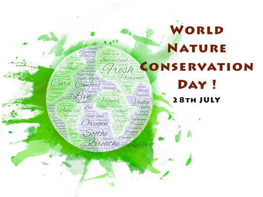 Reconnect with Nature Through Live Plants