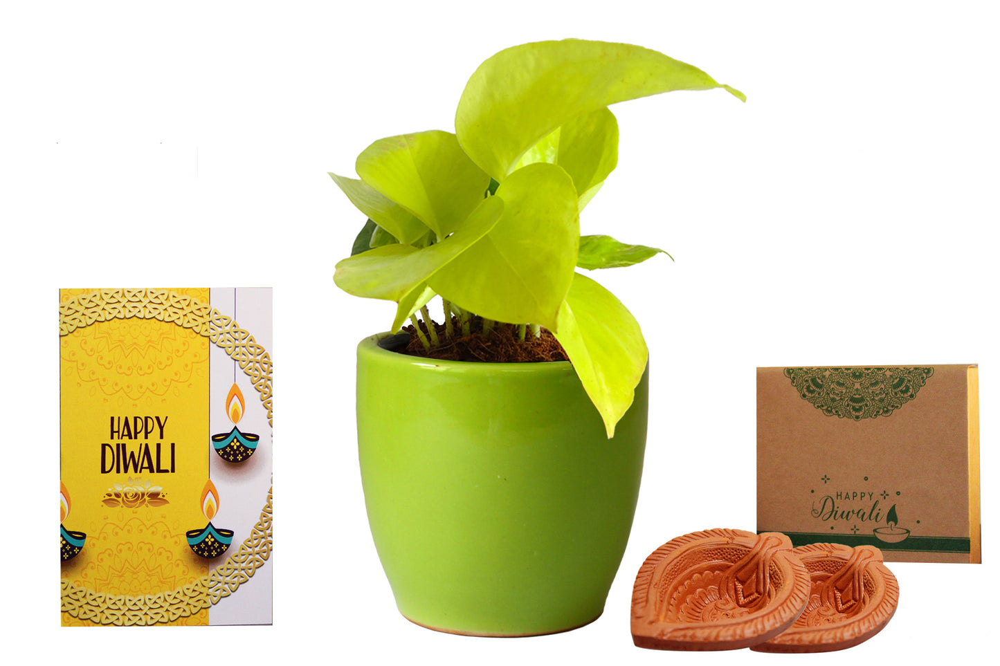 Rolling Nature Diwali Gift Combo of Good Luck Air Purifying Golden Money Plant in Green Pear Ceramic Pot
