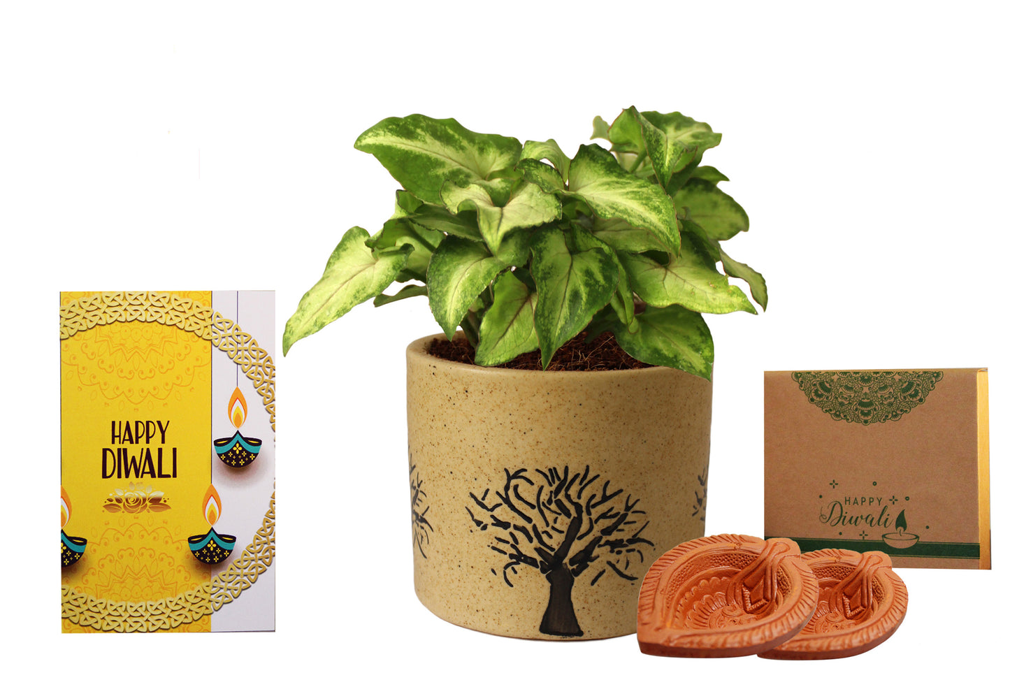 Rolling Nature Diwali Gift Combo of Air Purifying Good Luck Live Green Syngonium Plant in Brown Barrel Aroez Ceramic Pot