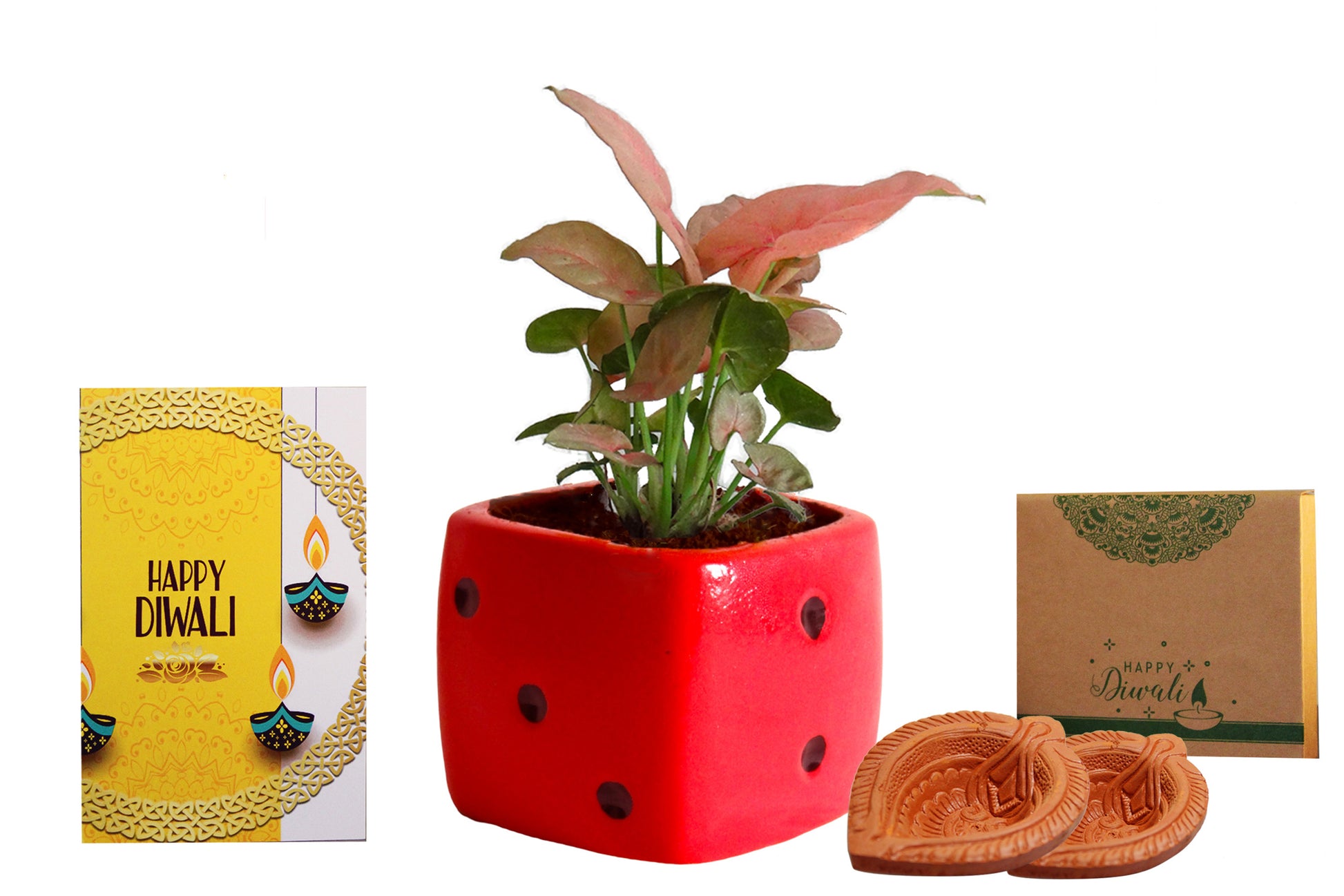 Green, Corporate, Gifts, Plants, Diwali, Brand, logo, Diya, Syngonium, Money, Plant, Indoor, Rolling, Nature, Gifting, Best, India, Eco-Friendly, Pots, ceramic, Planters, Customized